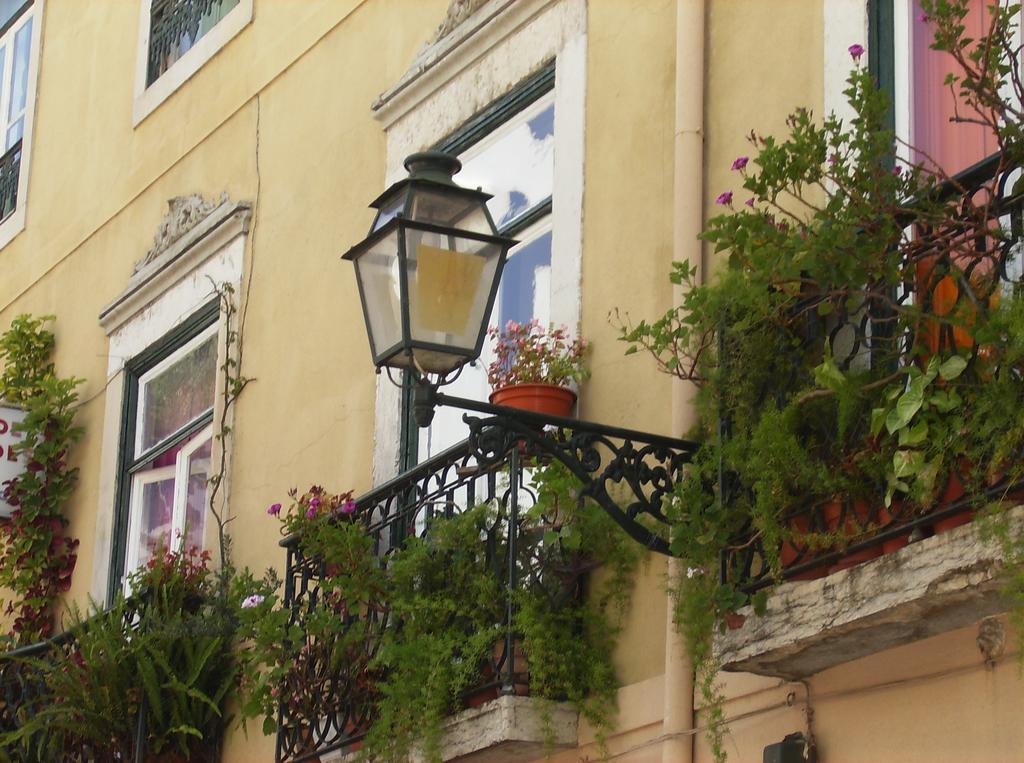 بيت شباب Dias E Dominguez Lisboa المظهر الخارجي الصورة